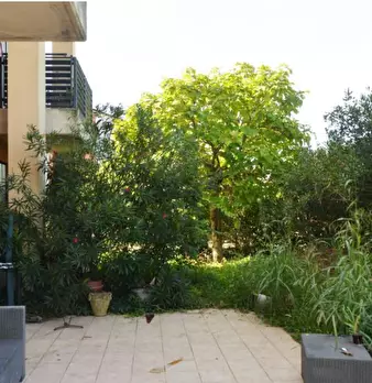 Foto annuncio 17