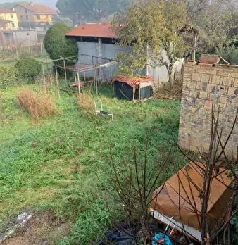 Foto annuncio 9