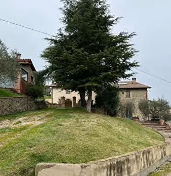 Foto annuncio 10
