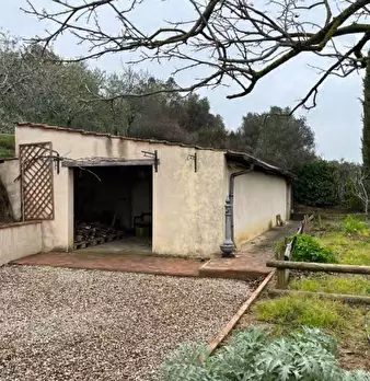 Foto annuncio 11