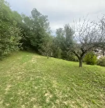 Foto annuncio 3
