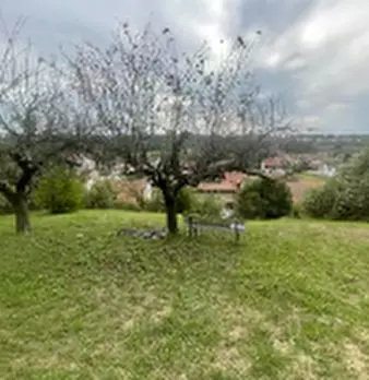 Foto annuncio 4