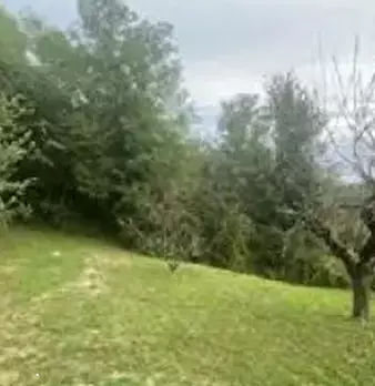 Foto annuncio 5