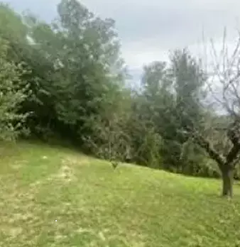Foto annuncio 11