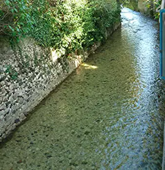 Foto annuncio 6