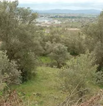 Foto annuncio 23