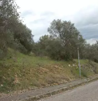 Foto annuncio 26