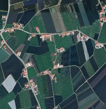 Foto annuncio 7