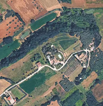 Foto annuncio 9