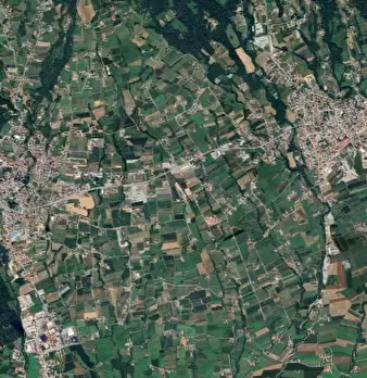 Foto annuncio 8