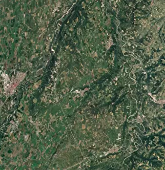 Foto annuncio 7