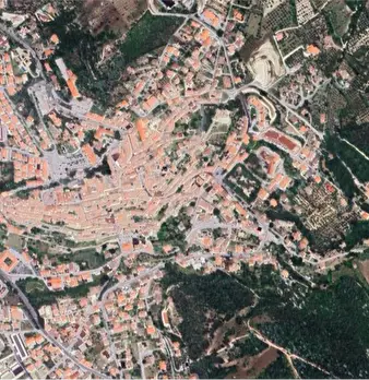 Foto annuncio 21