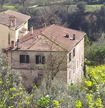 Foto annuncio 1
