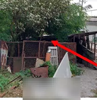 Foto annuncio 10
