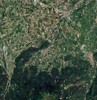 Foto annuncio 18