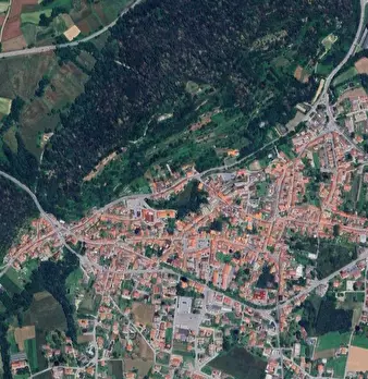 Foto annuncio 21