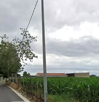Foto annuncio 9