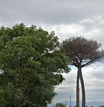 Foto annuncio 10