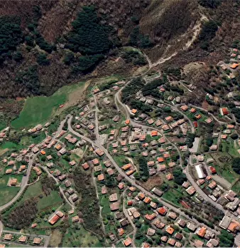 Foto annuncio 10