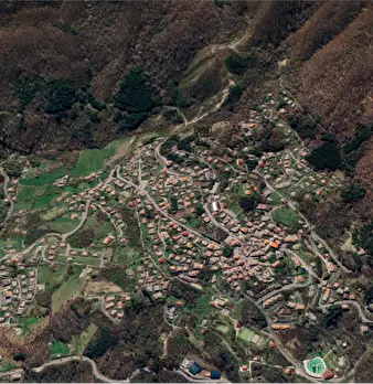Foto annuncio 11