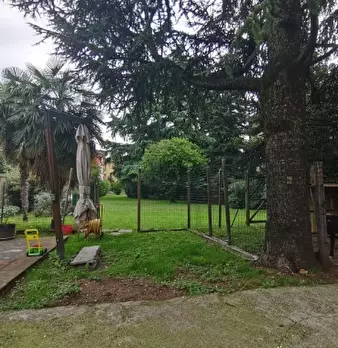 Foto annuncio 5