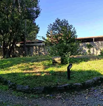 Foto annuncio 5