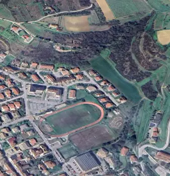 Foto annuncio 16