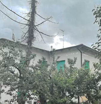 Foto annuncio 5