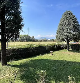Foto annuncio 3