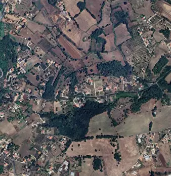 Foto annuncio 18