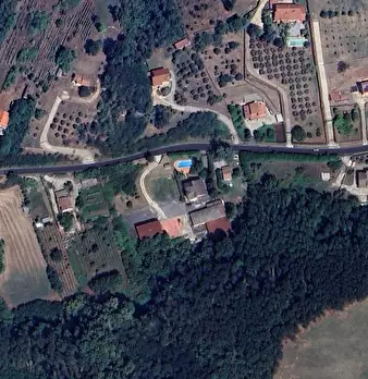 Foto annuncio 20