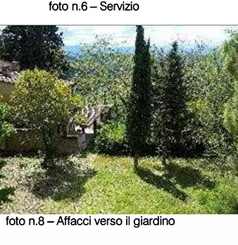 Foto annuncio 28