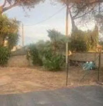 Foto annuncio 8
