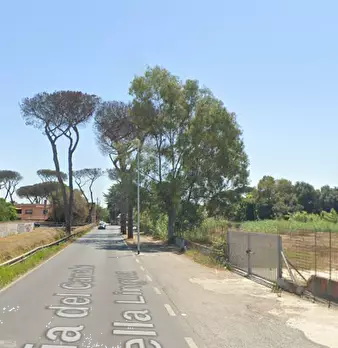 Foto annuncio 5