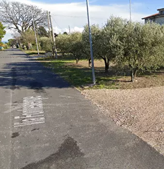 Foto annuncio 14