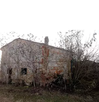 Foto annuncio 4