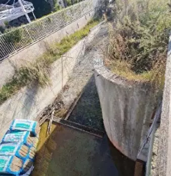 Foto annuncio 11