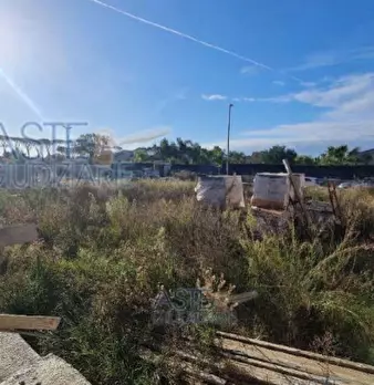 Foto annuncio 6