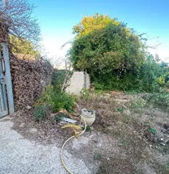 Foto annuncio 19