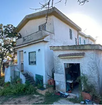Foto annuncio 1