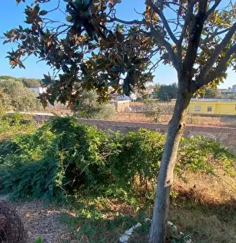 Foto annuncio 25