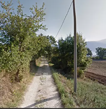 Foto annuncio 3