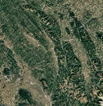 Foto annuncio 4