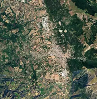 Foto annuncio 7