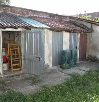 Foto annuncio 9