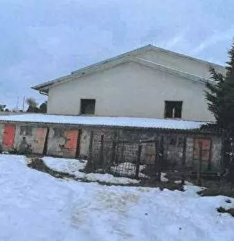 Foto annuncio 3