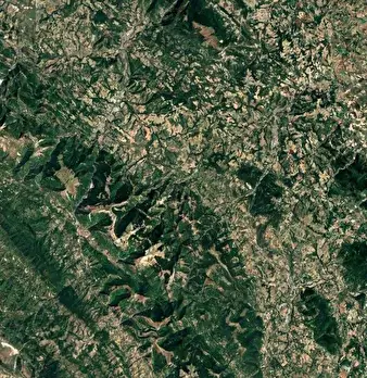 Foto annuncio 8