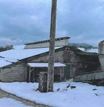 Foto annuncio 1