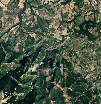 Foto annuncio 7