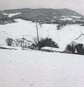 Foto annuncio 9
